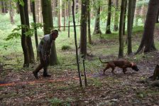 Hundepräsentation 2020